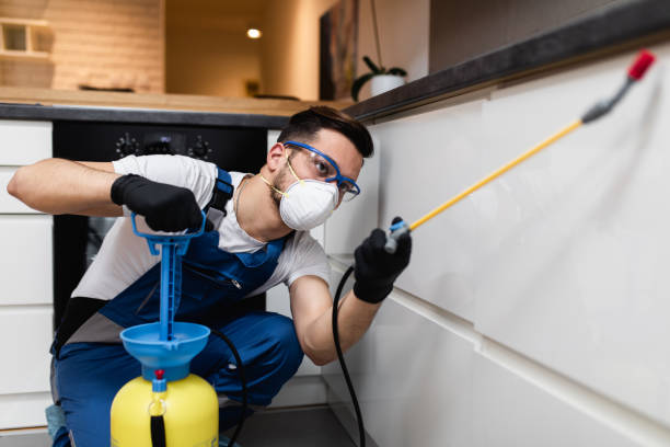 Best Flea Control Services  in Belterra, TX