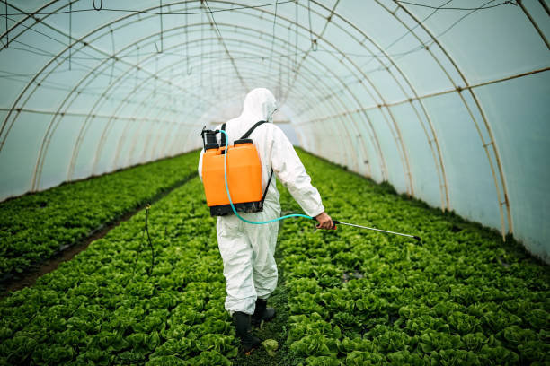Best Affordable Pest Control Services  in Belterra, TX