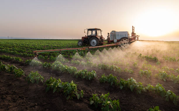 Professional Pest Control in Belterra, TX