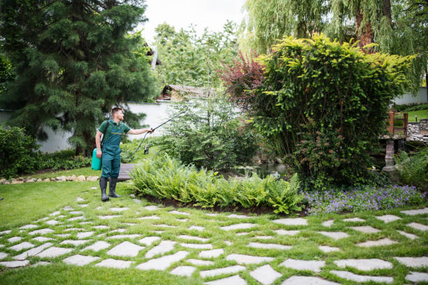 Best Pest Inspection Near Me  in Belterra, TX