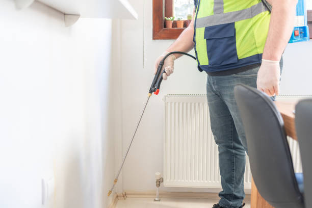 Best Wasp Removal Services  in Belterra, TX