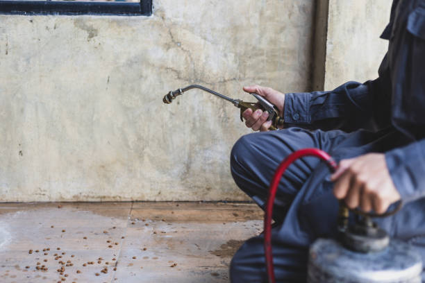 Best Pest Removal Services  in Belterra, TX